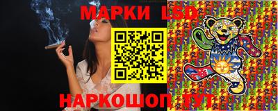индика Новозыбков