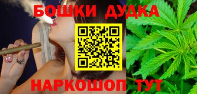 индика Новозыбков