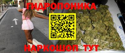 индика Новозыбков