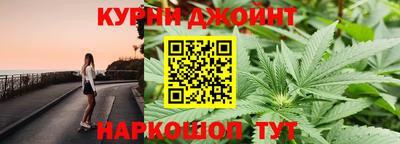 индика Новозыбков
