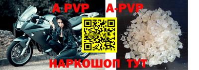 индика Новозыбков