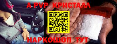 индика Новозыбков